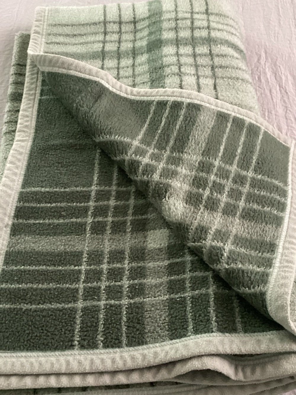 Martha Stewart Green Plaid Plush Throw